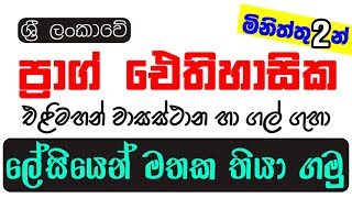 GCE O/L ඉතිහාසය ප්‍රාග් ඓතිහසික එළිමහන් වාසස්ථාන හා ගල්ගුහා ලේසියෙන්ම මතක තබා ගමු | History Tricks