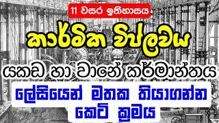 GCE O/L History Industrial Reveloution | යකඩ හා වානේ කර්මාන්තය පාඩම් කරගන්න ඕනම කරන කෙට් ක්‍රමයක්…