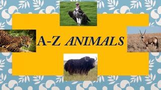 A-Z animals