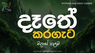 Dathe Karagata | දෑතේ කරගැට (Madahas Palama Remix) 🎶✨  #dathekaragata #piymanhackdat