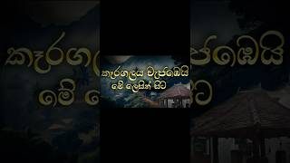 O/L Sinhala Karagalaya Meets Sanka ❤️ | කෑරගලය වැජඹෙයි x රිදෙන නොරිද්දෙන #shorts #olsinhala