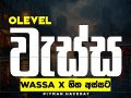 O/L Sinhala Rasawadaya | හිත අස්සට x වැස්ස(Wassa) ගුණදාස අමරසේකර | සිංහල සාහිත්‍ය රසාස්වාදය 16 පාඩ​ම
