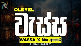 O/L Sinhala Rasawadaya | හිත අස්සට x වැස්ස(Wassa) ගුණදාස අමරසේකර | සිංහල සාහිත්‍ය රසාස්වාදය 16 පාඩ​ම