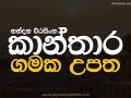 O/L Sinhala කාන්තාර ගමක (Kanthara Gamaka) මෙහෙම අහලා තියෙනවද? 🥺 | සාහිත්‍යය රසාස්වාද​ය
